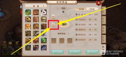 问道手游怎么做宠物