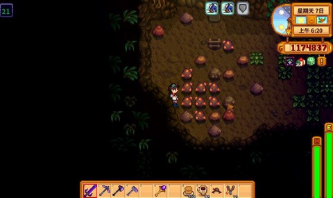 星露谷物语怎么铜矿[图2]