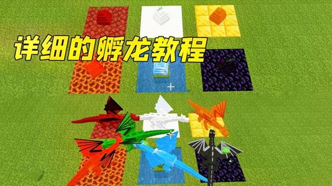 在我的世界怎么做龙蛋[图2]