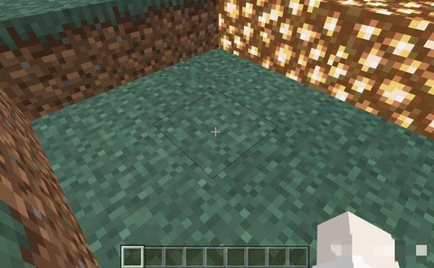 我的世界泥土怎么长草[图2]