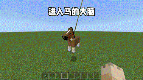 我的世界马为什么不走[图1]
