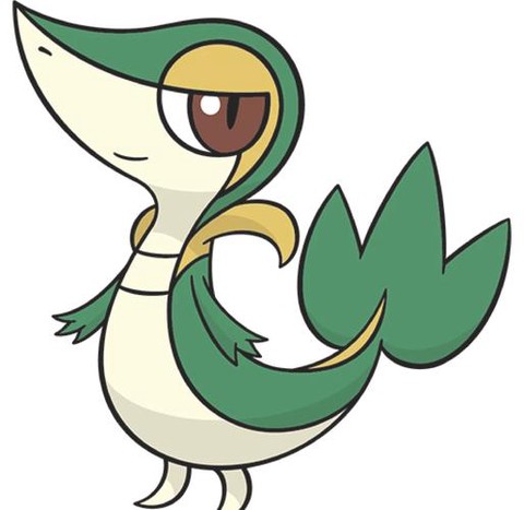 怎么画神奇宝贝里面的藤[图1]