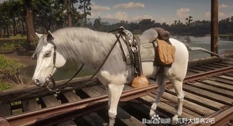 荒野大镖客马车怎么拿[图1]