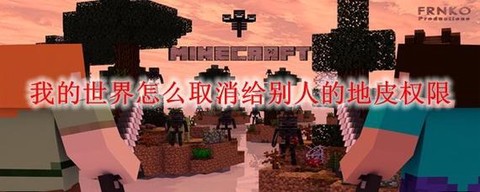 我的世界怎么删地皮[图2]