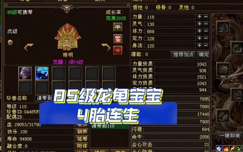 天龙八部龙龟怎么抓[图1]