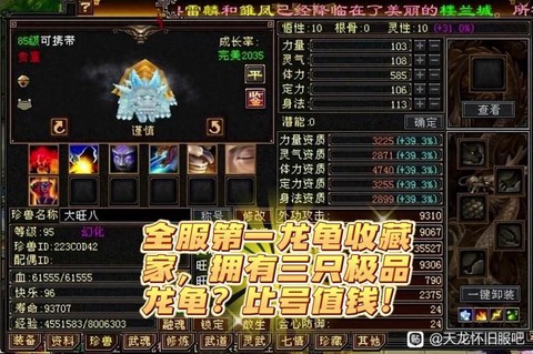 天龙八部龙龟怎么抓[图2]