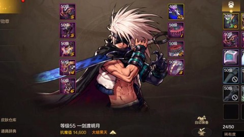 dnf瞎子是什么职业