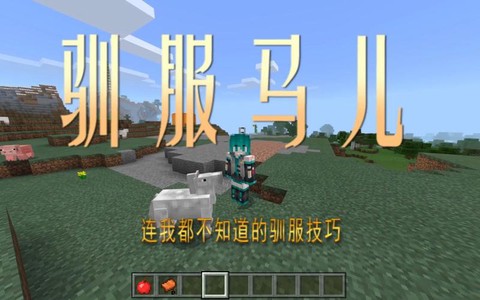 我的世界里怎么驯服马