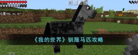 我的世界里怎么驯服马[图2]