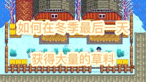 星露谷物语草料怎么