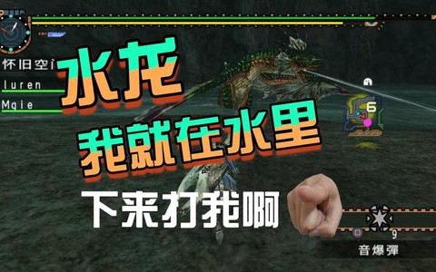 怪物猎人2怎么钓水龙